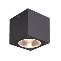 Ceiling Mounted Light Ceiling Mounted Light