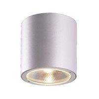 Ceiling Mounted Light Ceiling Mounted Light