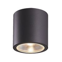 Ceiling Mounted Light Ceiling Mounted Light