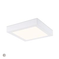 Flush Mount Ceiling Light 11-3/4" Width