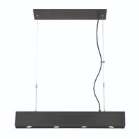 Linear Pendants 6-2/3" Width