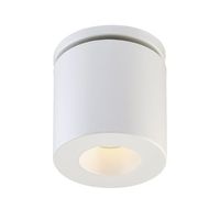 Flush Mount Ceiling Light