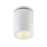 Flush Mount Ceiling Light