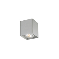 Ceiling Mounted Light 3-1/2" Width Ceiling Mounted Light 3-1/2" Width