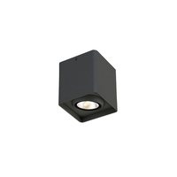 Ceiling Mounted Light 3-1/2" Width