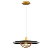 Down Light Pendant Down Light Pendant