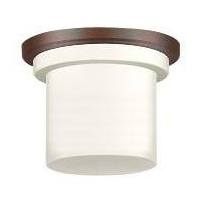 Ceiling Fan Light Kits 1