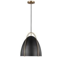 Down Light Pendant Down Light Pendant