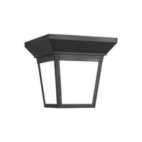 Flush Mount Ceiling Light 7-1/4" Width Flush Mount Ceiling Light 7-1/4" Width