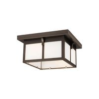Ceiling Mounted Light 12" Width Ceiling Mounted Light 12" Width