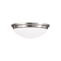 Flush Mount Ceiling Light