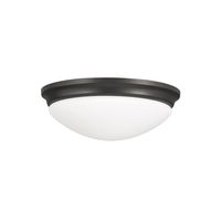 Flush Mount Ceiling Light