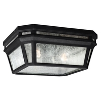Ceiling Mounted Light 11-3/4" Width Ceiling Mounted Light 11-3/4" Width