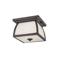 Ceiling Mounted Light 9" Width Ceiling Mounted Light 9" Width