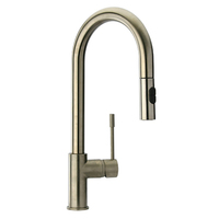 Pull-Out Spray Kitchen Faucet Single Hole Pull-Out Spray Kitchen Faucet Single Hole