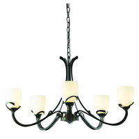 Mid Sized Chandelier Mid Sized Chandelier