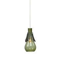 Down Light Pendant Down Light Pendant