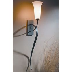 1 Bulb Wall Sconce 1 Bulb Wall Sconce