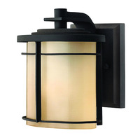 Outdoor Wall Light 7-1/4" Height