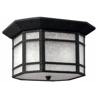 Ceiling Mounted Light 12" Width Ceiling Mounted Light 12" Width