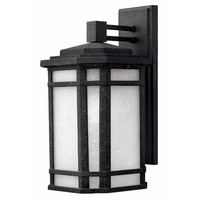 Outdoor Wall Light 15-1/4" Height