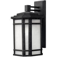 Outdoor Wall Light 15-1/4" Height