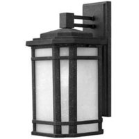 Outdoor Wall Light 15-1/4" Height