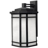 Outdoor Wall Light 20-1/2" Height