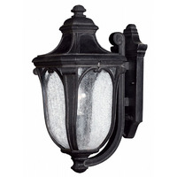 Outdoor Wall Light 17-1/2" Height