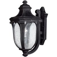 Outdoor Wall Light 17-1/2" Height