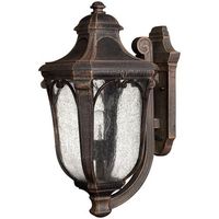 Outdoor Wall Light 17-1/2" Height