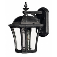 Outdoor Wall Light 10-1/2" Height