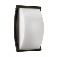 Outdoor Wall Light 10-1/2" Height