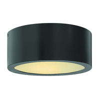 Ceiling Mounted Light 8" Width