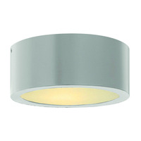 Ceiling Mounted Light 8" Width