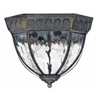 Ceiling Mounted Light 11-3/4" Width