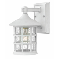 Outdoor Wall Light 9-1/4" Height