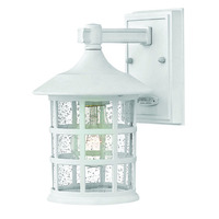 Outdoor Wall Light 9-1/4" Height