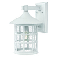 Outdoor Wall Light 15-1/4" Height