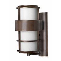 Outdoor Wall Light 20-1/4" Height