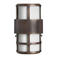 Outdoor Wall Light 12-1/2" Height