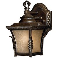 Outdoor Wall Light 8-3/4" Height