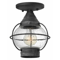 Ceiling Mounted Light 7" Width