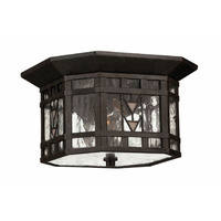 Ceiling Mounted Light 9-1/2" Width