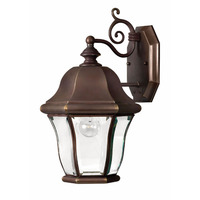 Outdoor Wall Light 15-1/4" Height