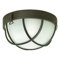 Flush Mount Ceiling Light 10-1/4" Width