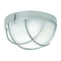 Flush Mount Ceiling Light 10-1/4" Width