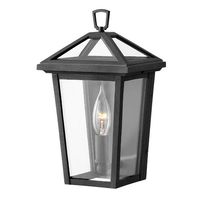 Outdoor Wall Light 11-1/4" Height