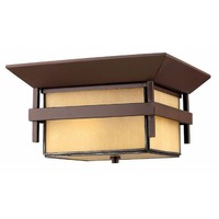 Ceiling Mounted Light 12-1/4" Width