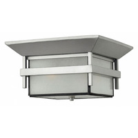 Ceiling Mounted Light 12-1/4" Width